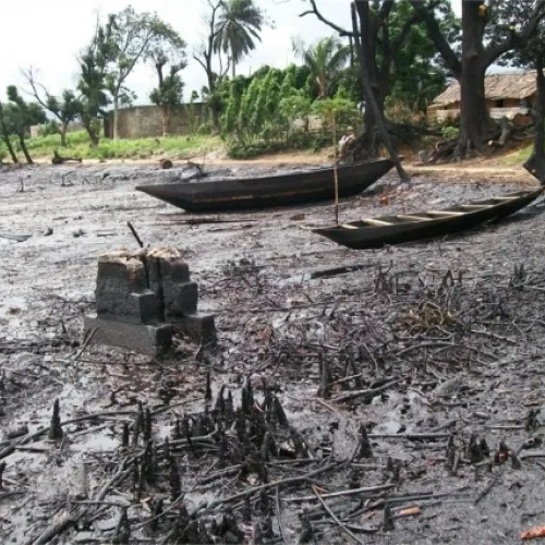 Environmental groups urge govt to halt planned oil resumption in Ogoniland, demand clean-up instead