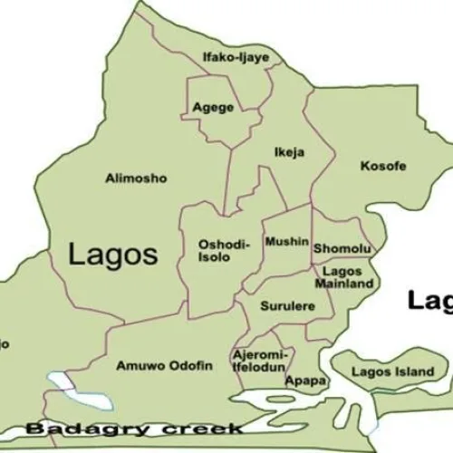 Lagos supports 82,000 businesses with capacity building initiative, training 