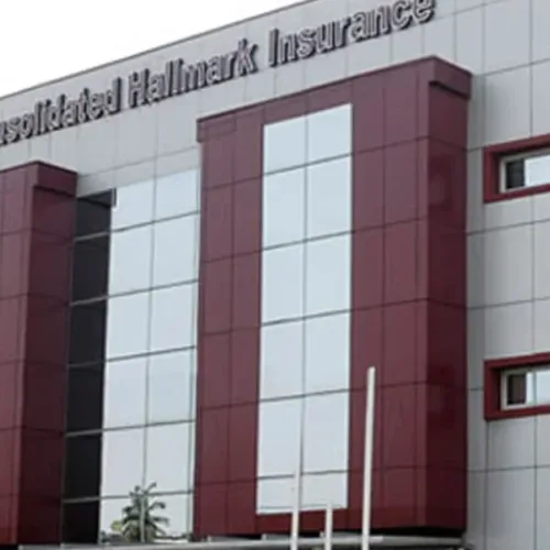 Consolidated Hallmark clears recapitalisation hurdle
