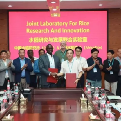 AfricaRice strengthens partnerships with Chinese research institutes to accelerate continent’s rice innovation