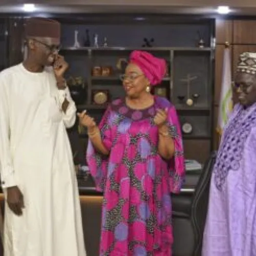 Kebbi 2027: ADC adopting bold statements as winning strategy