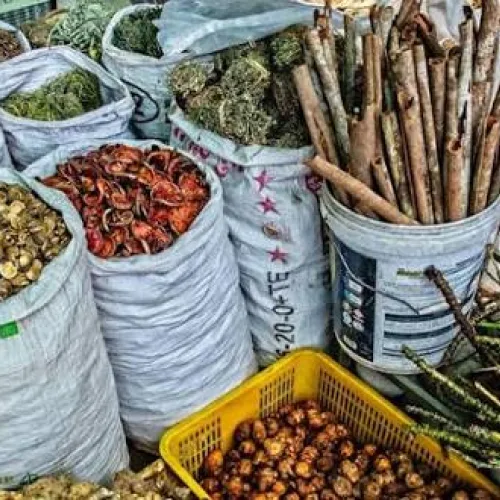FG’s adoption of traditional medicine big boost for health sector