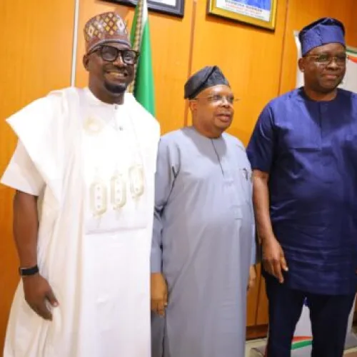 Fayose inaugurated as REA board’s chair