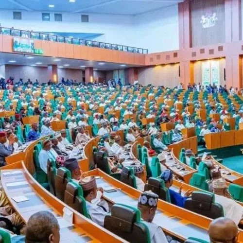 Lawmakers Warn Nigeria’s Democracy Is in Freefall, Demand Emergency Session
