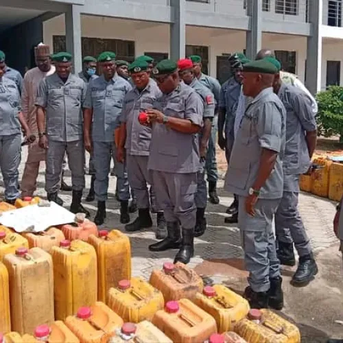 Adamawa: Customs seize N362.2m worth of pangolin scales