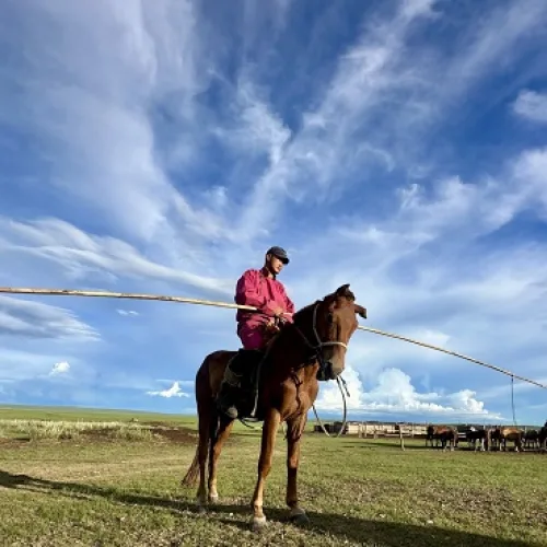 Mongolia welcomes Silk Road Caravan on final approach to UNCCD COP17