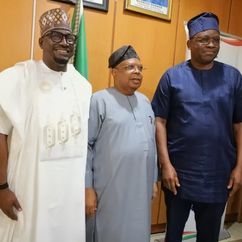 Nigeria moving from counting megawatts to powering more communities – Tegbe