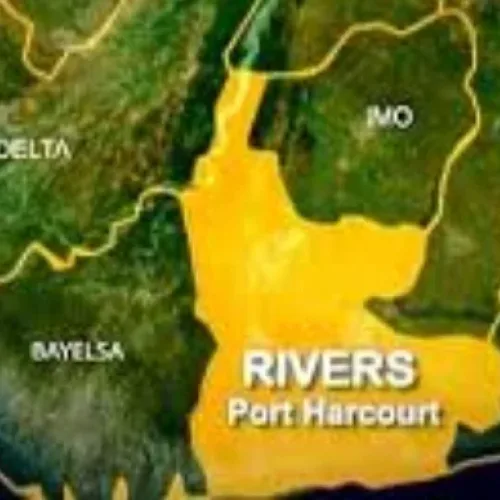 11 cows, herder killed in Rivers