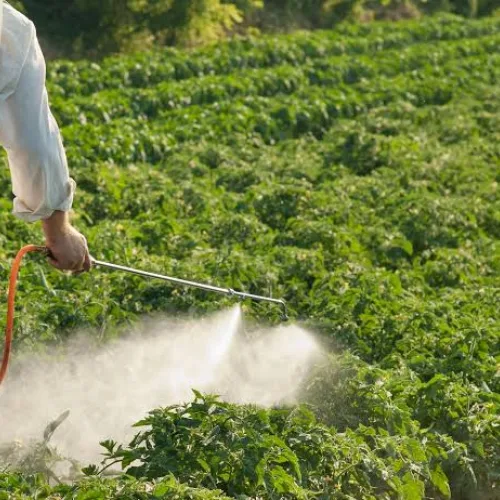 Rare Childhood cancer reports put pesticide use under scrutiny