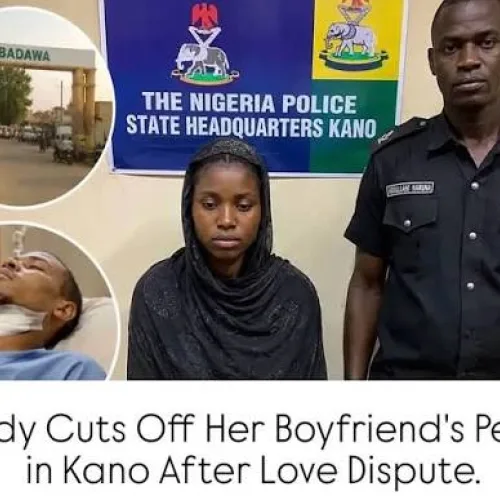 Woman admits cutting off boyfriend’s manhood over failed marriage plans