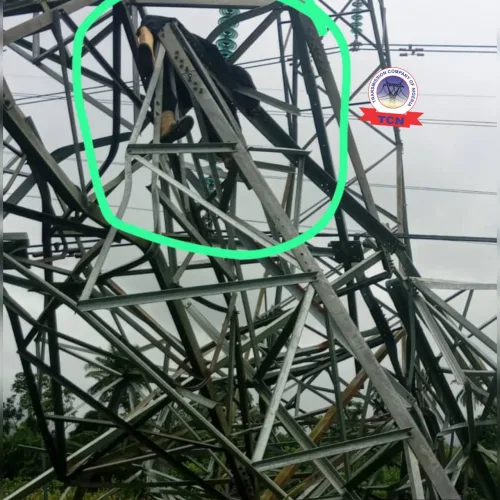 Vandal crushed to death under vandalised 330kV transmission tower in Delta