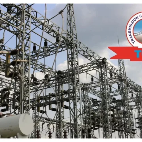 Vandal dies under collapsed 330kv transmission tower in Delta