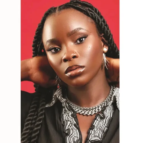 I want to tell African stories that meet global standards — Olamide Oladapo