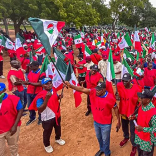 NLC demands energy sector shake-up