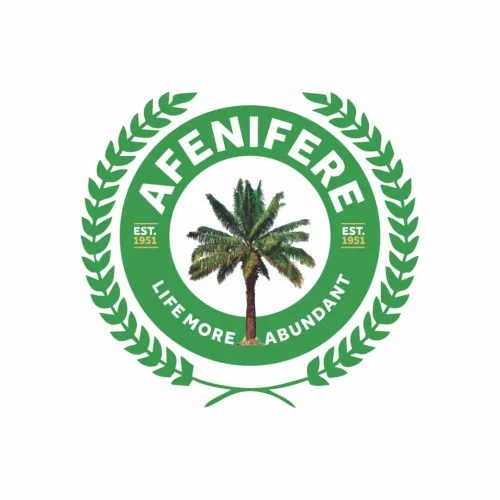 Lagos-Calabar Highway: We stand with Tinubu, but don’t bypass Ondo coast — Afenifere