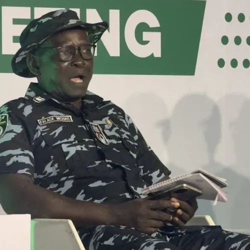 Police arrest cultist, recover gun in Ekiti