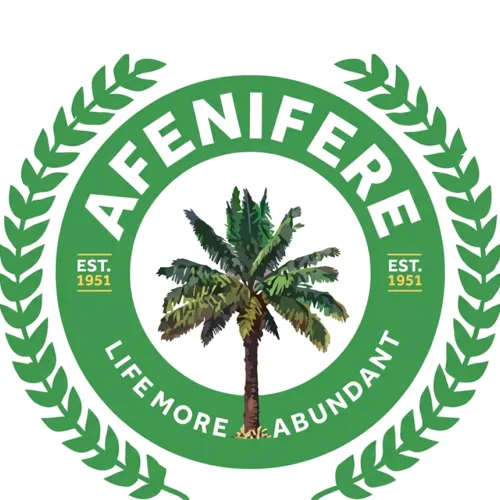Afenifere Appreciates Tinubu On Ondo Sector Of Lagos-Calabar Coastal Highway