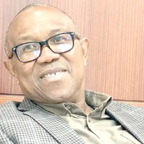 POMR blasts Deji Adeyanju over comment on Peter Obi