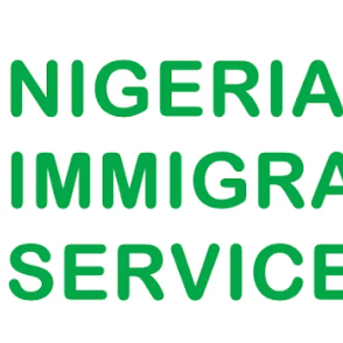 NIS deploys passport team to UK to Clear Nigerians’ backlog