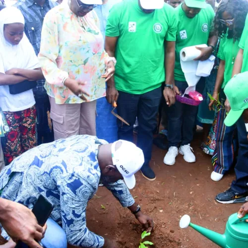 Ogun targets ecosystem restoration in annual tree planting