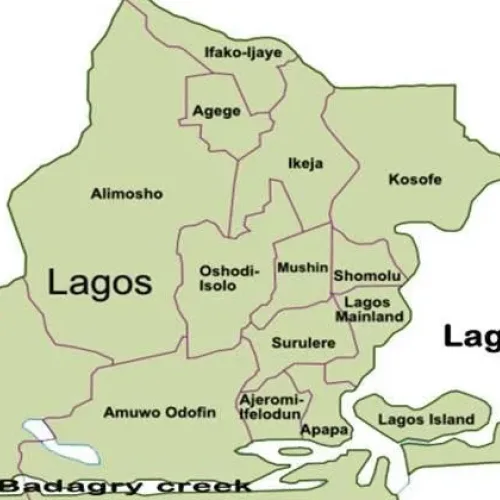 Lagos man beaten to death over missing phone