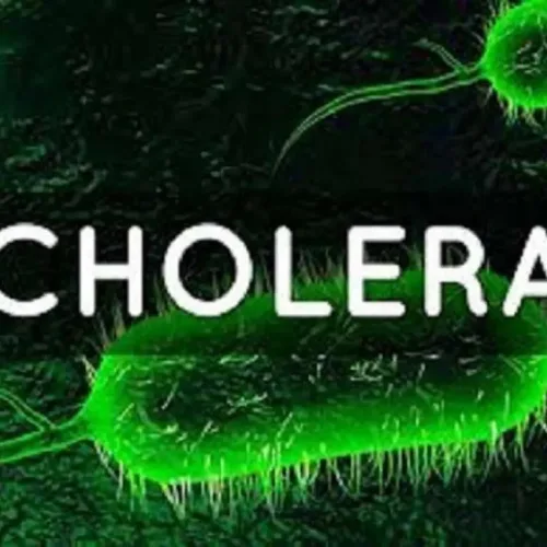 Adamawa Govt, UNICEF Harp On Curbing Cholera Outbreak 