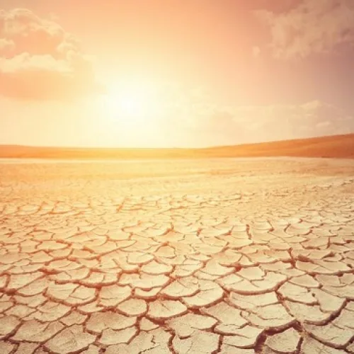 As El Niño, heatwaves dry up fields, campaigners urge govts to act fast