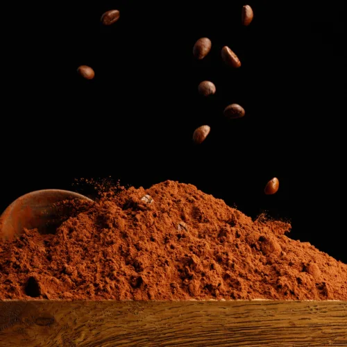 From Raw Beans to High-Margin Powder: A Beginner’s Guide to Small-Scale Cocoa Processing