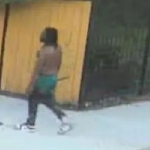 Man Walks Small Dog While Casing and Breaking Into Cars on Chicago’s West Side Before Robbing a Man at Knifepoint