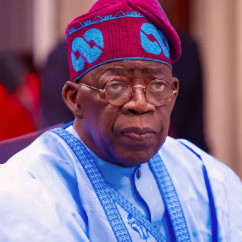 Tinubu unveils strategy to boost livestock sector’s contribution to GDP