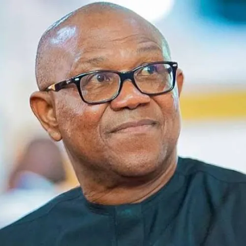 What I really said about Nigerian soldiers rejecting salary increase — Peter Obi