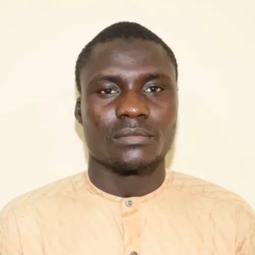 DSS releases carpenter arrested over Oriire school attack