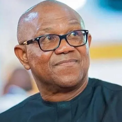 Professors Now Aid Illiterates to Rig Elections in Nigeria – Peter Obi