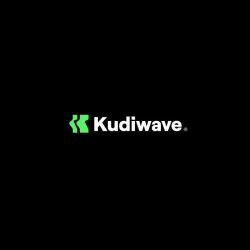 KudiWave seeks clarification over N750m transfer from PalmPay account