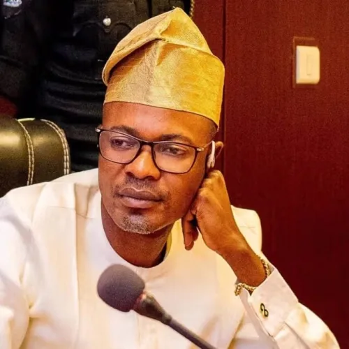 PFIPC probe: Reps panel’s planned meeting with Adeyemi stalled