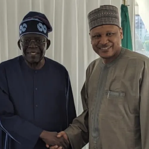 Tinubu committed to peace, tranquility – Idris