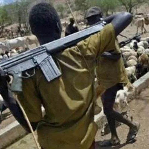 Stop Fulani ethnic militia or break up Nigeria