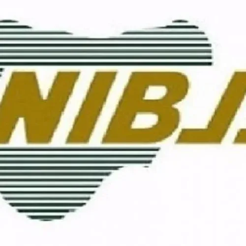 NPS processes 26.55m transactions worth N1.4tn