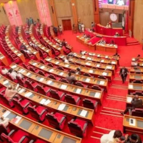 Senate gives Seplat Energy, others 48-hour deadline