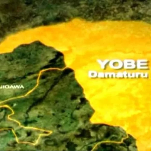 Yobe govt hands over four Agro-Industrial hubs to Nigeria food corporation