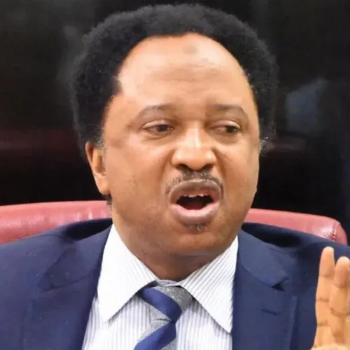 Osun Election: ‘You’re Wasting Your Time Dragging Trump Into Our Elections’ – Shehu Sani 