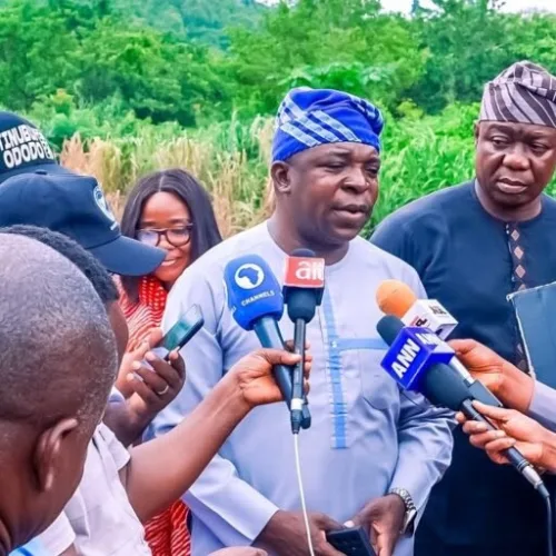 'Osun Needs CEO, Not an Entertainer' — Tinubu’s aide