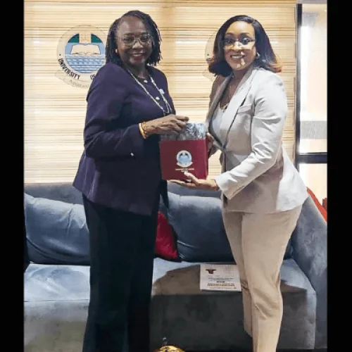 NDPHC chief sees reliable power as key to Nigeria’s economic takeoff