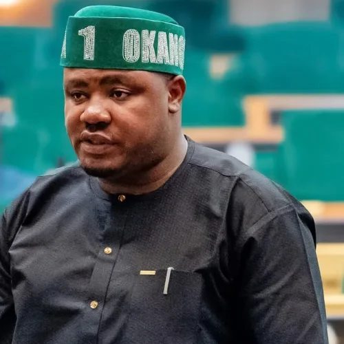 Lawmaker cautions NASS against external political influences