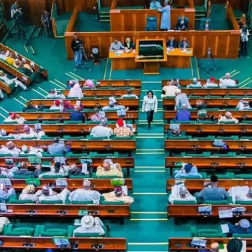 Reps Committee Stalls as Probe into Alleged Fake Agency Falters
