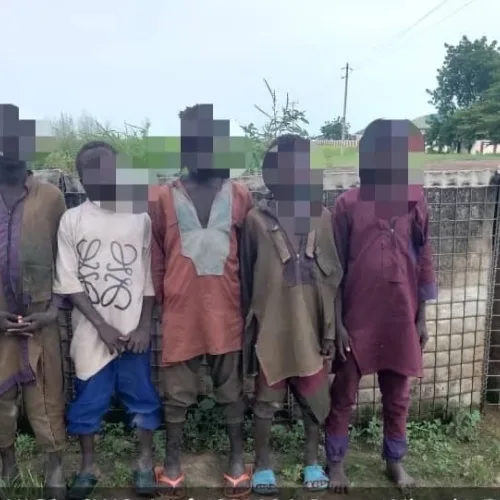 Terrorist surrenders rise 213% in one week — Military 