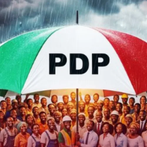 Voter apathy: Youth silence is killing democracy — PDP