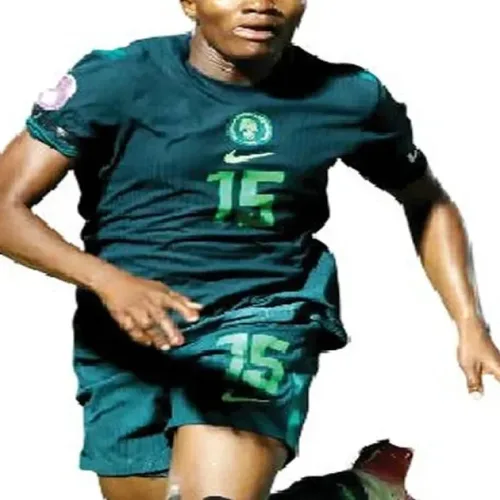 Falcons criticism unfair – Ajibade