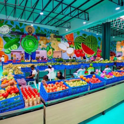 Lagos inaugurates Agege fresh food hub to reduce post-harvest losses