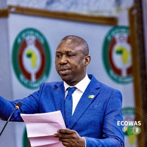32m W/Africans risk displacement, $294bn needed to tackle climate crisis — ECOWAS